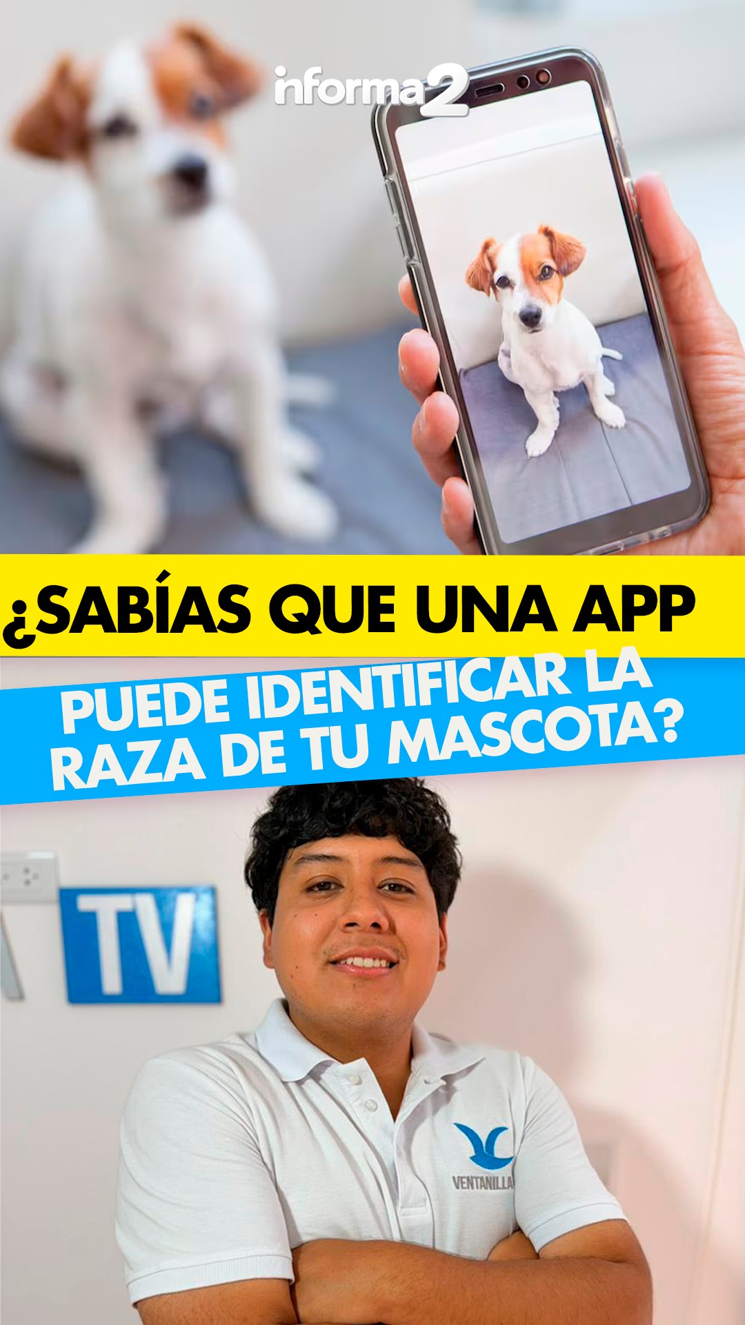 🔴¿Sabías es posible identificar la raza de tu perro usando solo una app ...
