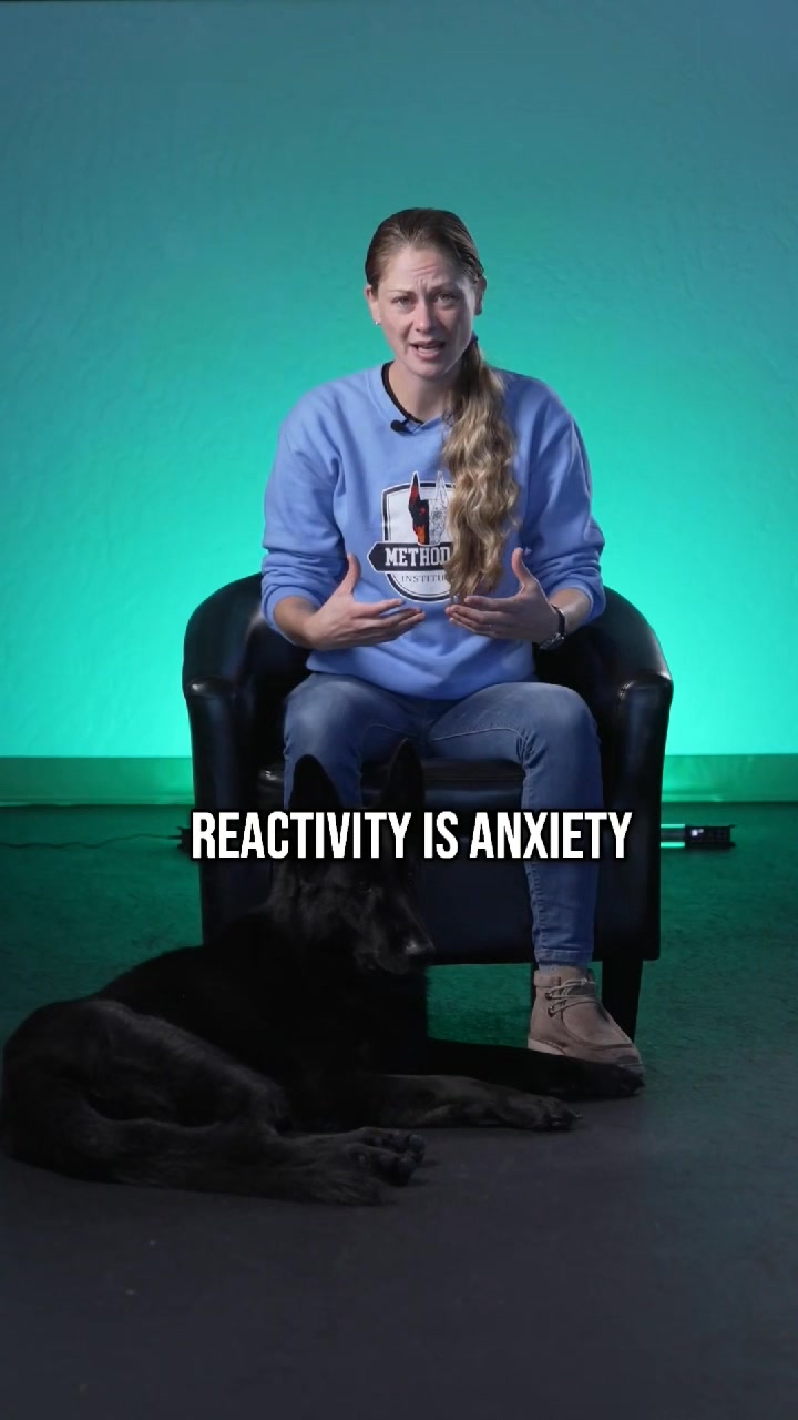 What do you think? | Method K9 | Facebook