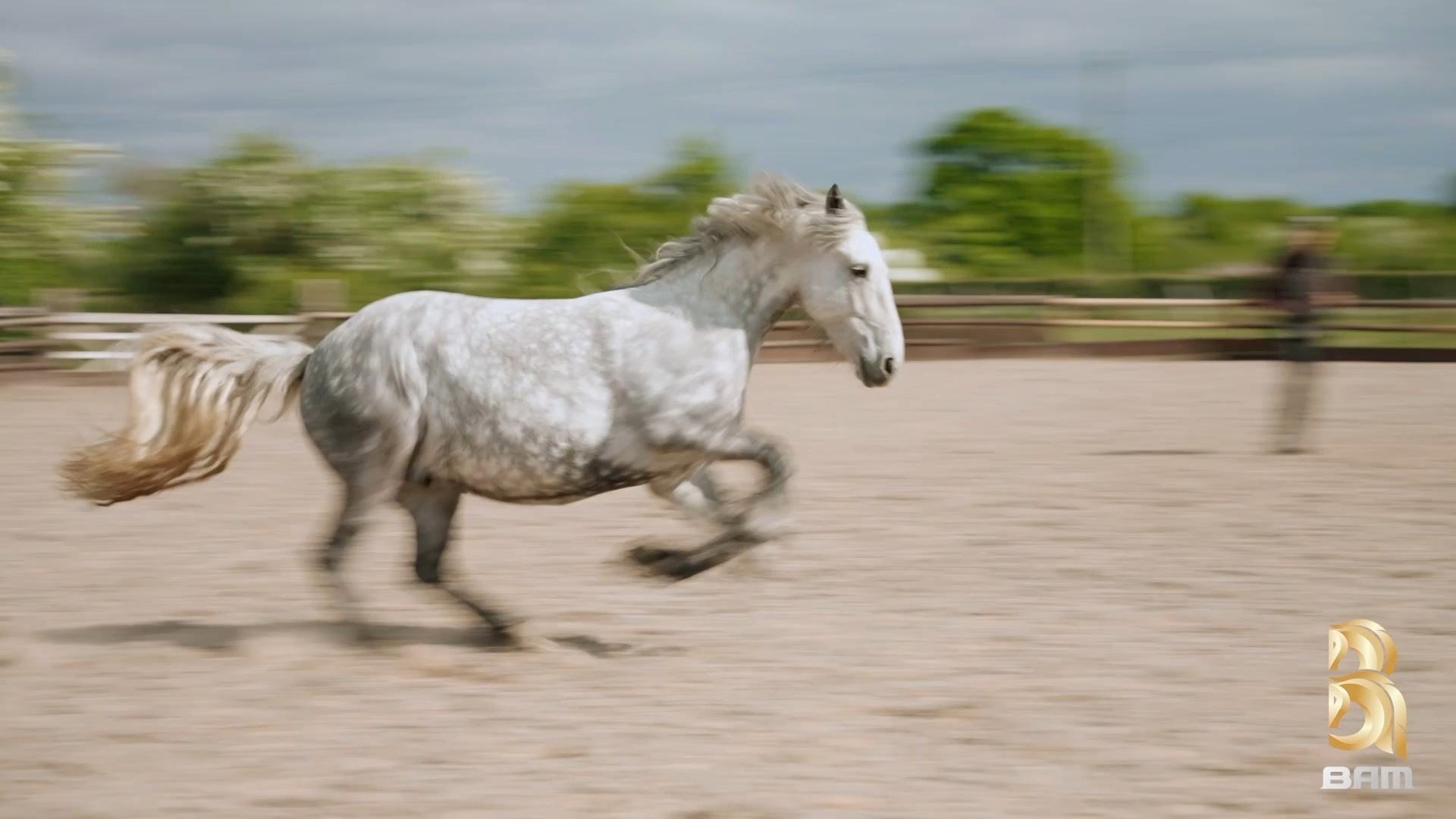 If unlocking your horses full potential is one of your 2026 goals than ...