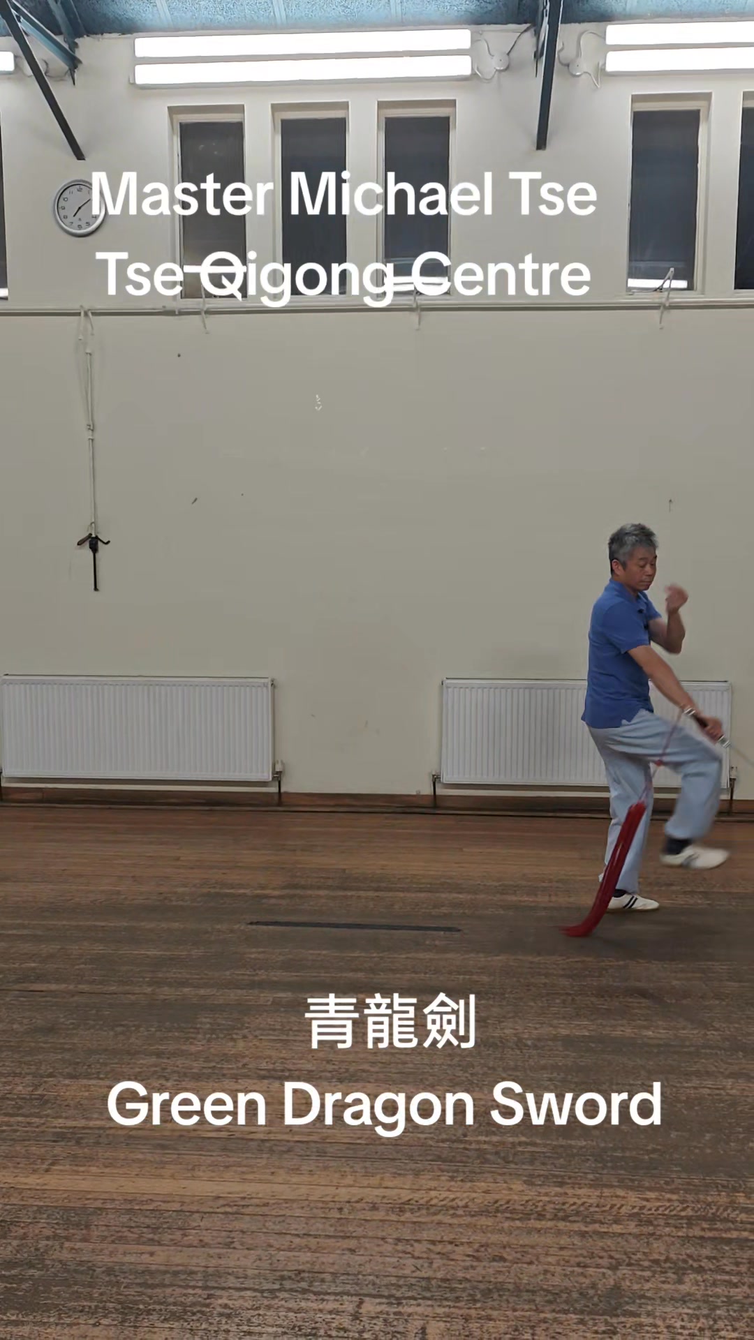 青龍劍 Green Dragon Sword #kungfu #wushu #martialarts #fight #sword # ...