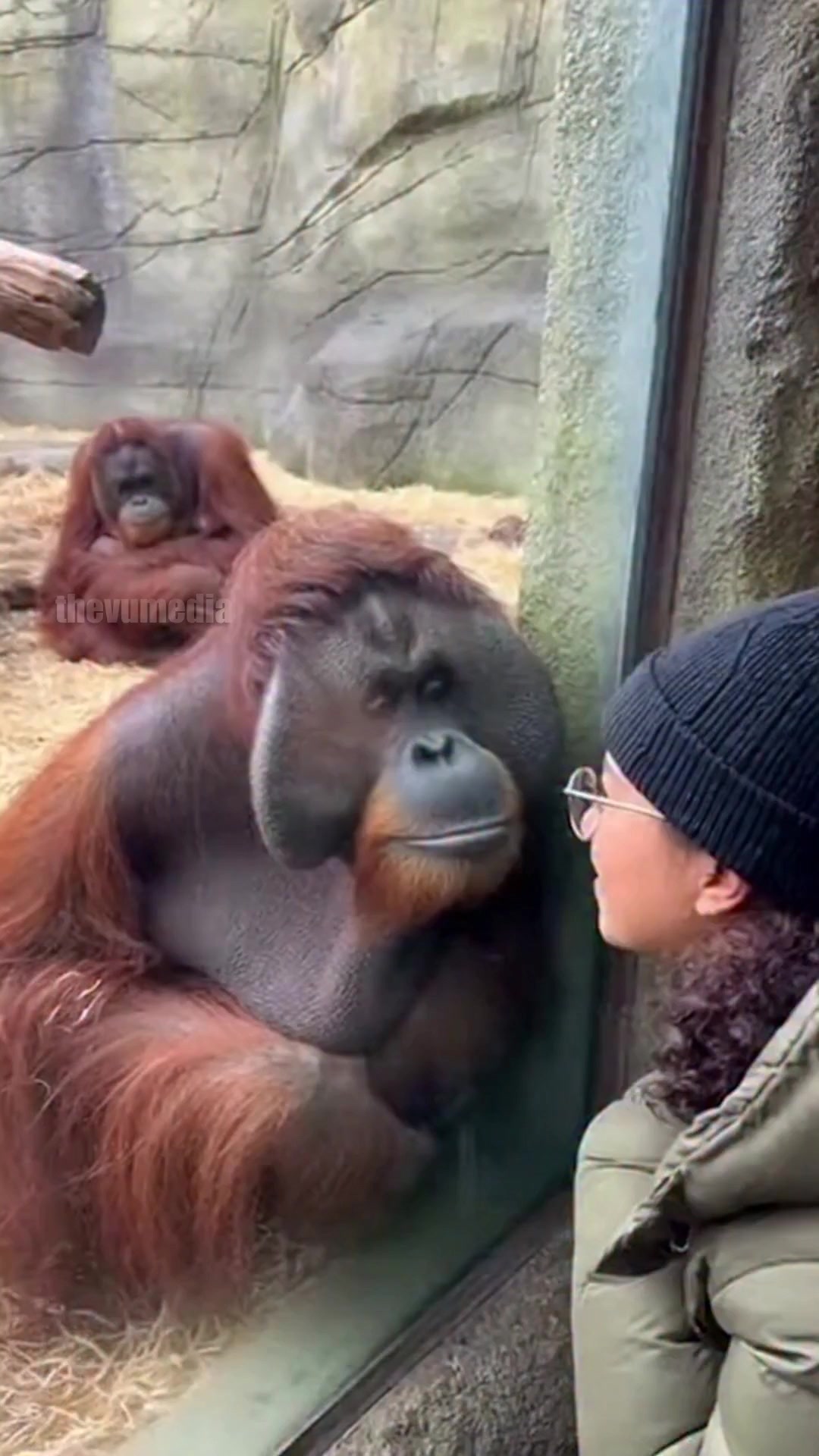 Love is in the air—until your best friend decides to end the romance ...