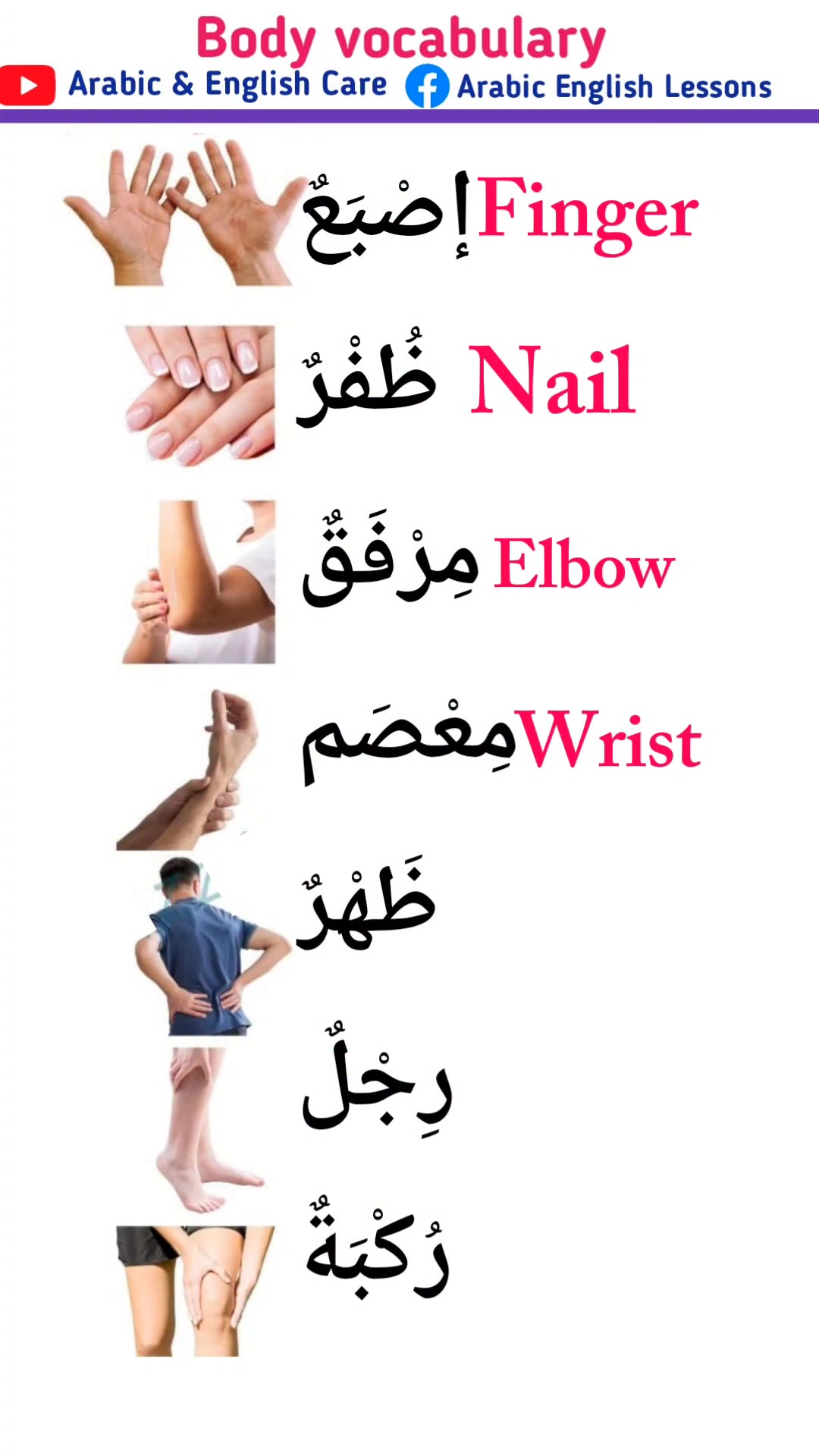 Parts of body names in Arabic and English #speakarabic #arabiclanguage ...