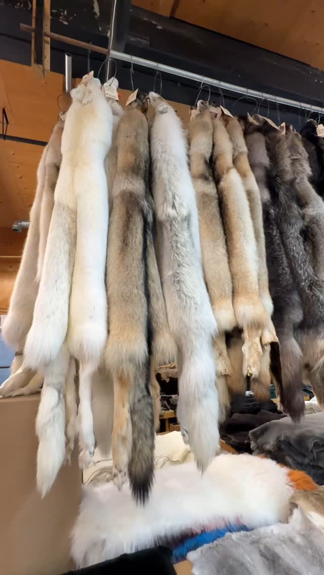These big beautiful timberwolf fur pelts are so soft to the touch with ...