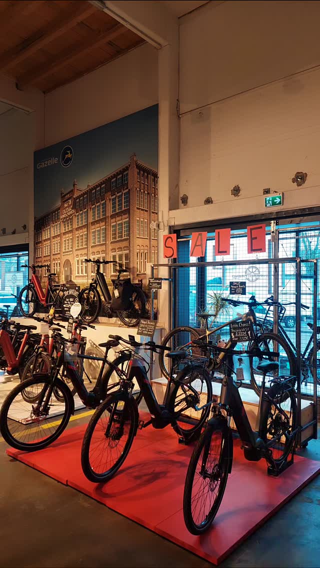 electric bike with gears XPeak 2.0 Off-Road eBike | High-Step eMTB Zutaten_Petersilie Laufrad:Vorderrad and expandability to add 28 Zoll Trekking E-Bikes
