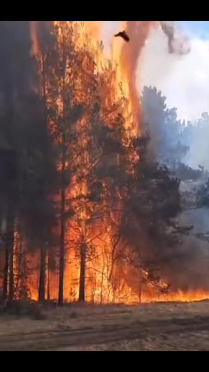 Homes destroyed, people fleeing as wildfires rage in eastern ...
