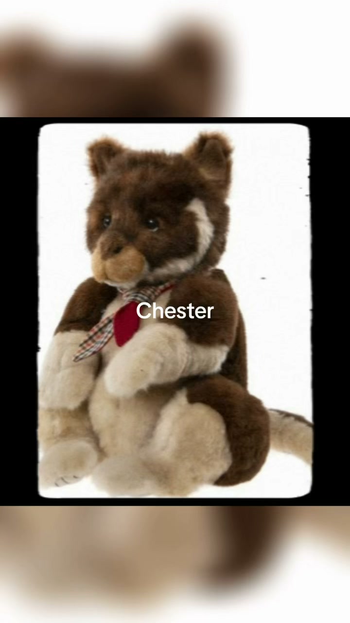 Check out this video and meet this gorgeous bear that has been
