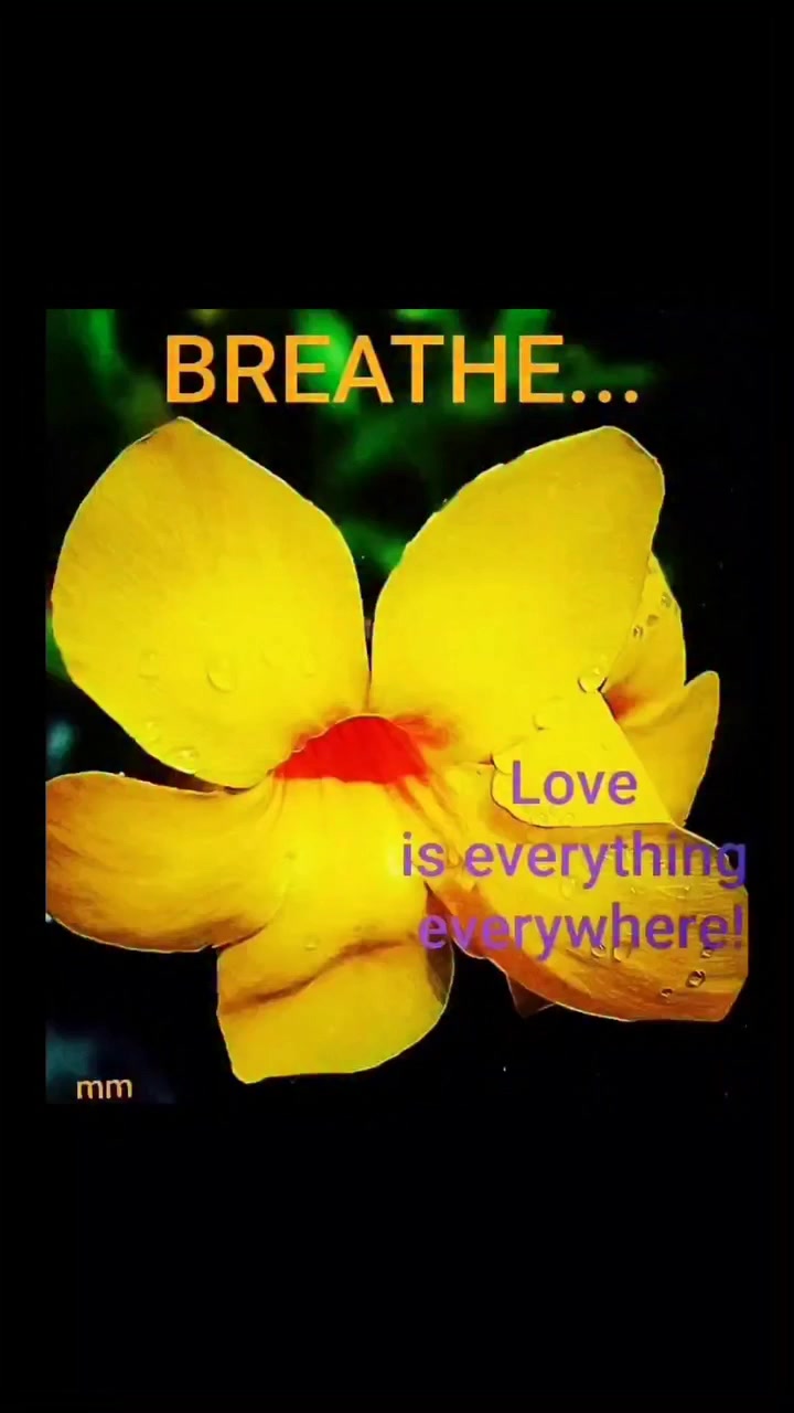 PAUSE: Spirit Rambling On Love... Beautiful People, @highlight Let Us ...