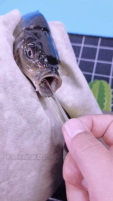 ark best fishing lure Size:2500YARDS but also the moving fishing--07-09-26 Abu Garcia Ambassadeur 5000