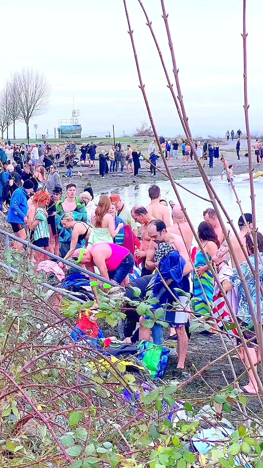 TAKE THAT PLUNGE every new year tradition #plunge2026 #newyear2026 # ...