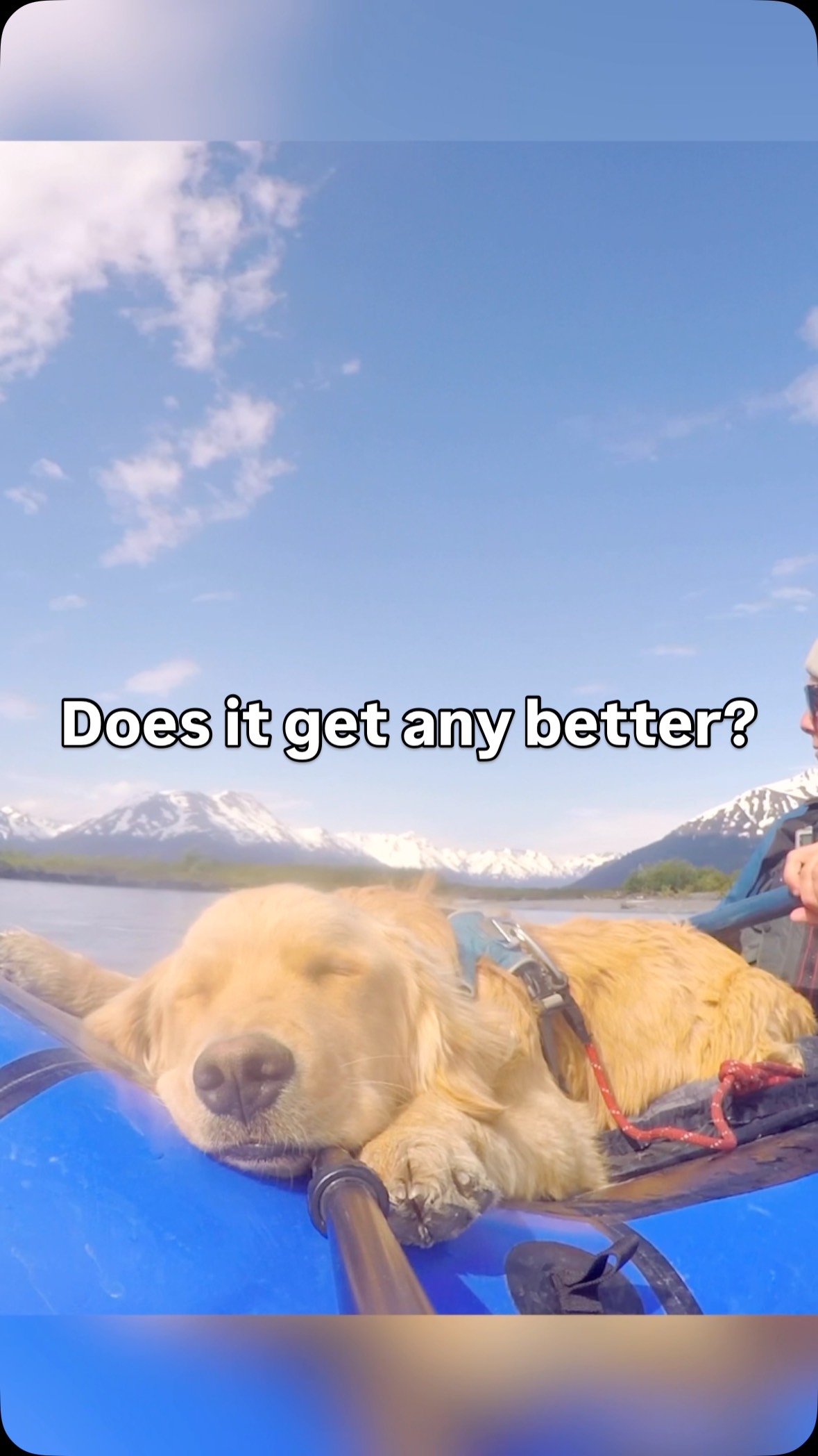 Best lunch of my life? Floating down a riving in Alaska while my golden ...