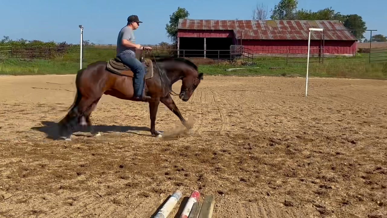 SOLD KM Good N Hot 2018 AQHA gelding by RL Best Of Sudden x multiple ...