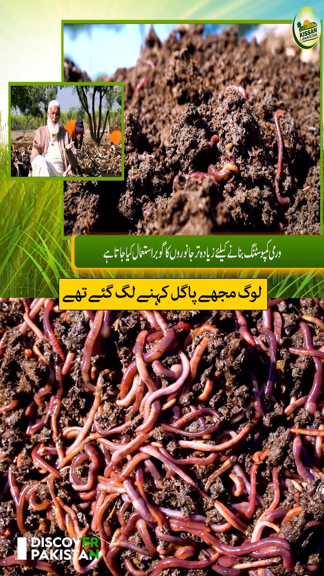لوگ مجھے پاگل کہنے لگ گئے تھے۔ ورمی کمپوسٹنگ فارم کے مالک خالد مقصود ...