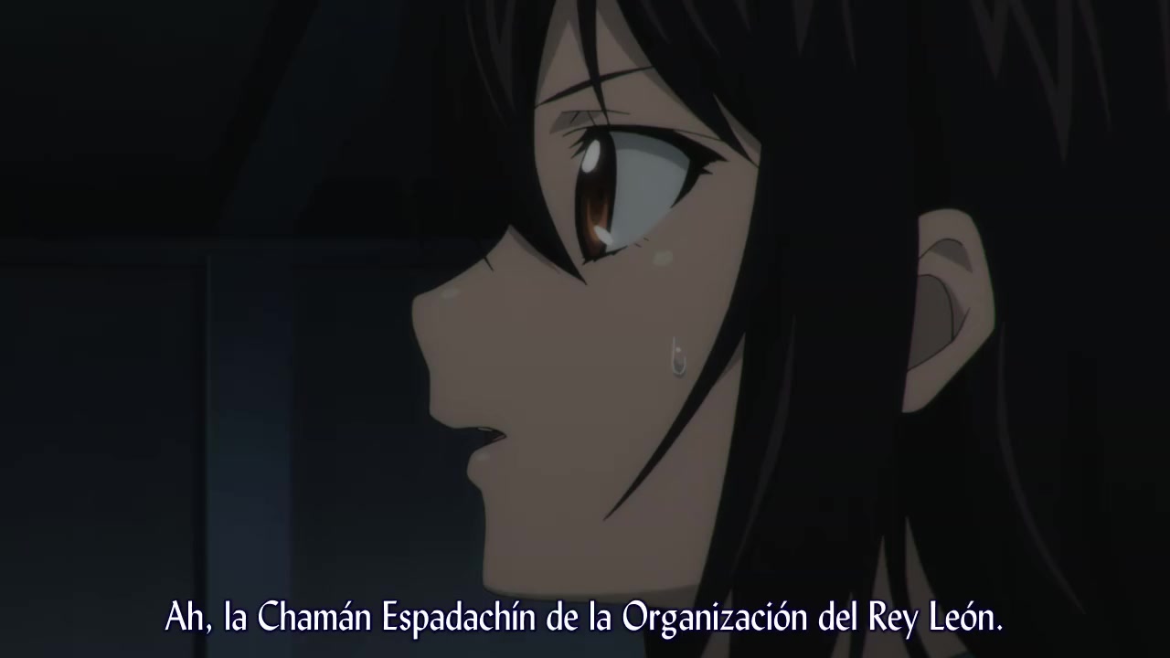 Strike the blood Cap 19 español latino | Animes YT