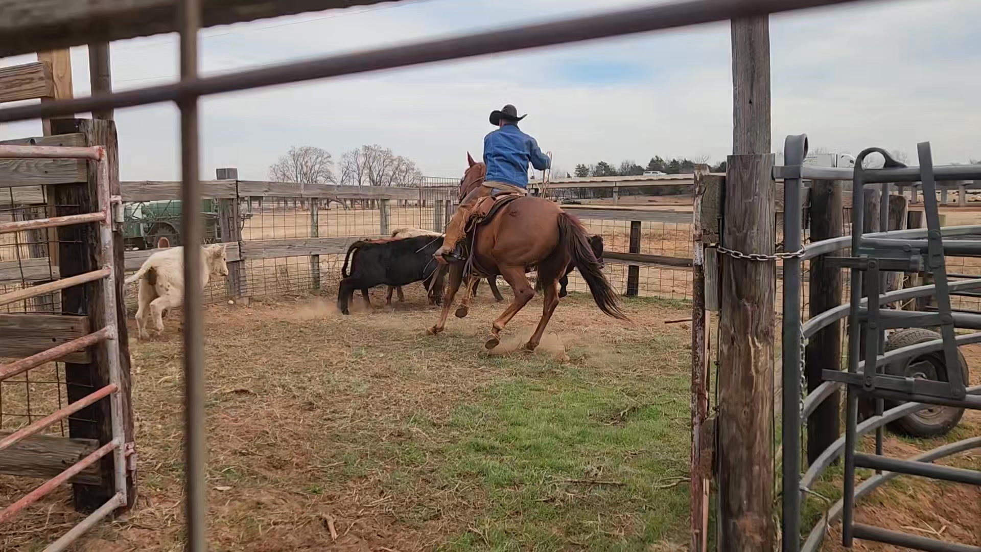 Diamond W Ranch - 🥳 The gate wrecker is gone!!! 🥳 | Facebook