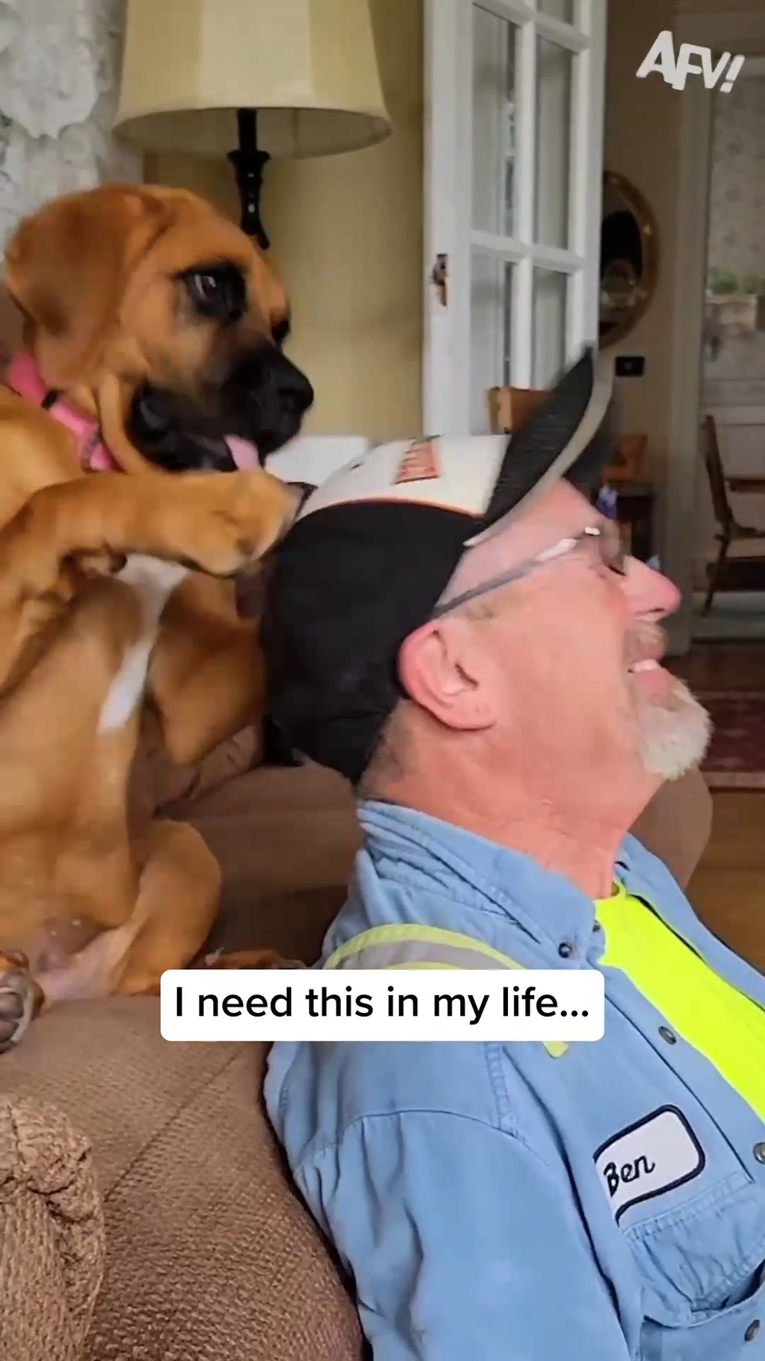 Some real Best Friend Energy coming off of this video! 🤣 #afv #dogs # ...