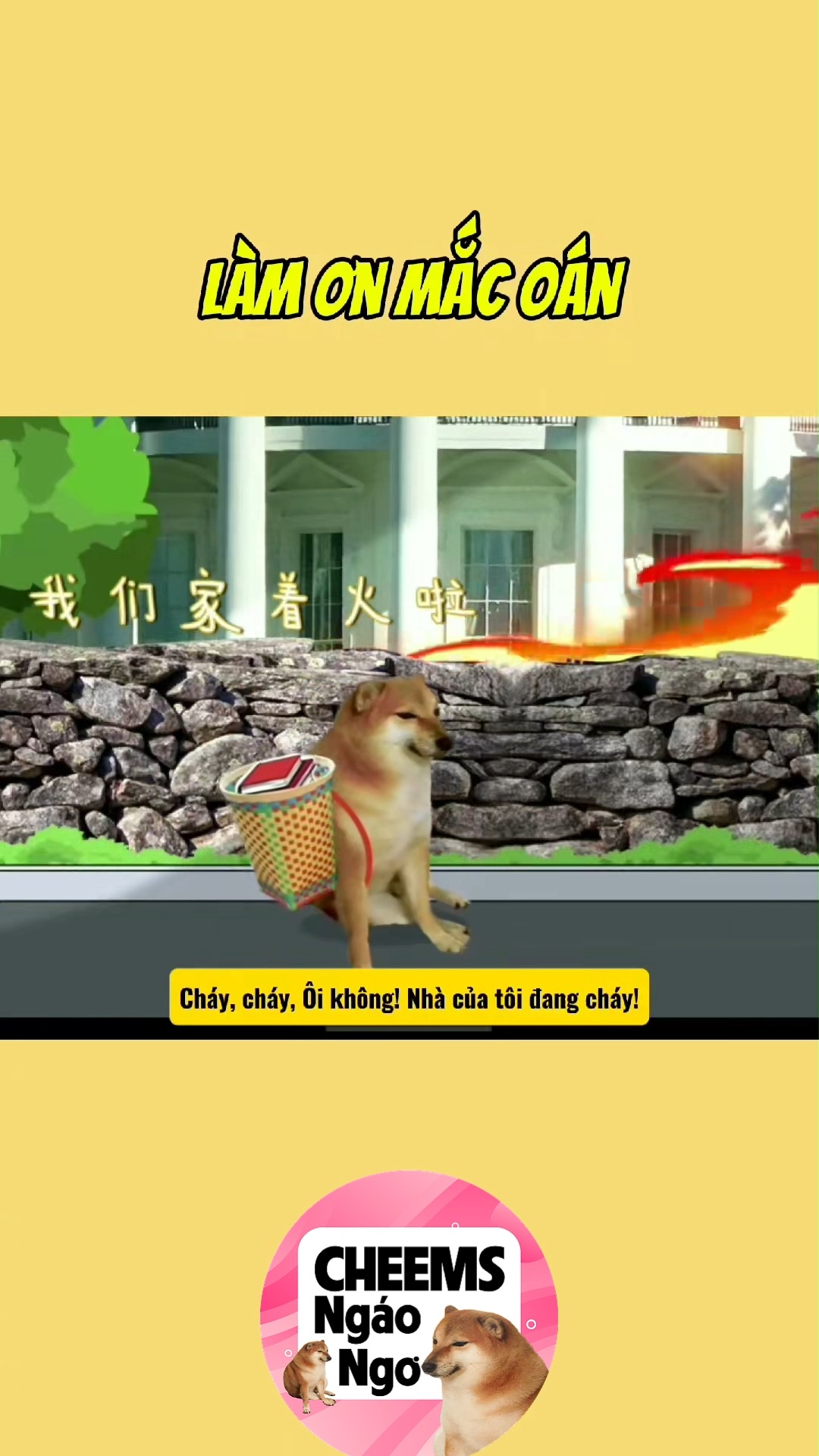 Làm ơn mắc oán #cheems #cheemsmemes #haihuoc #haihuocvuinhon #short # ...