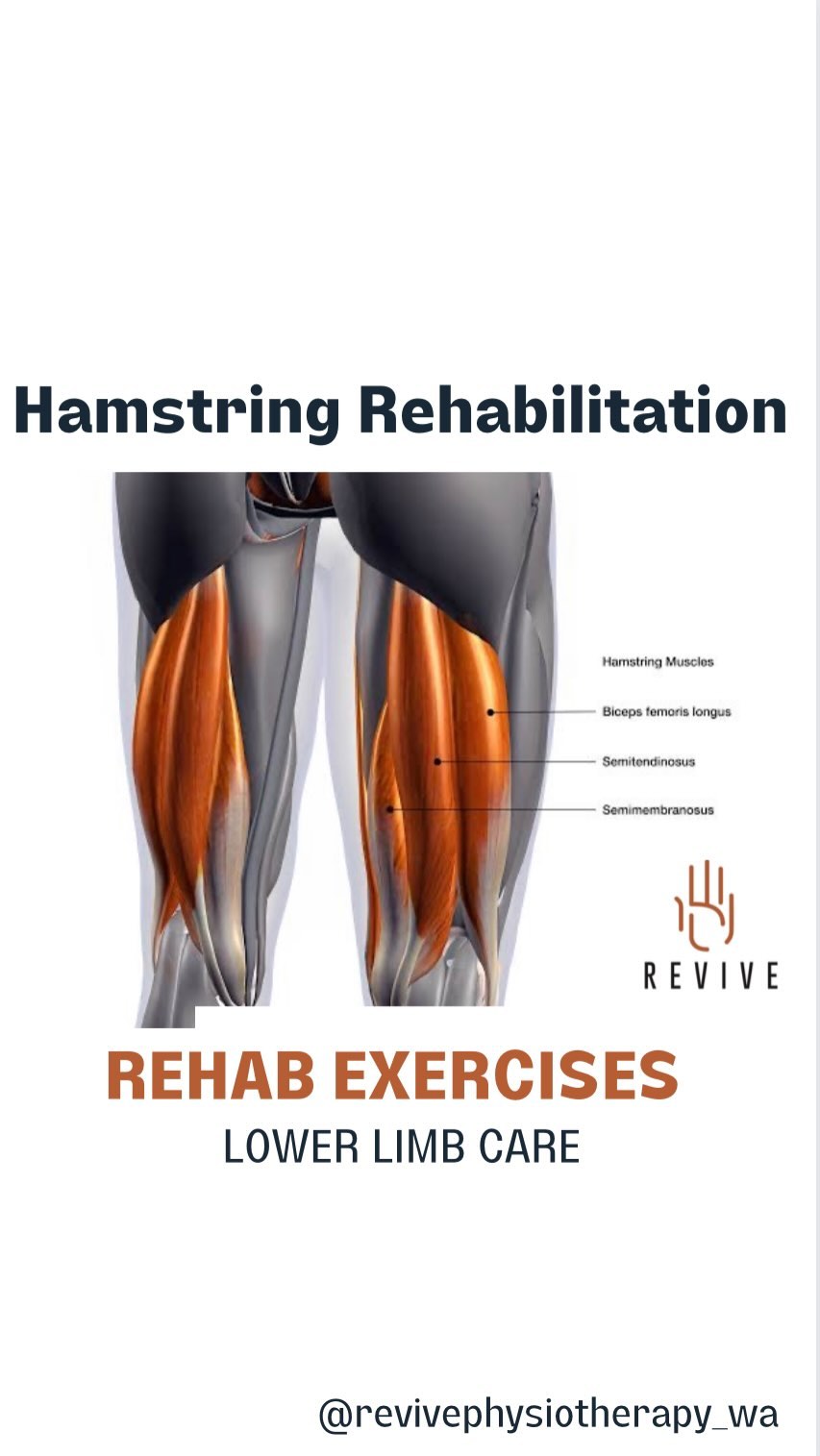 Hanging scapular retraction. Hanging scapular retraction is an exercise ...