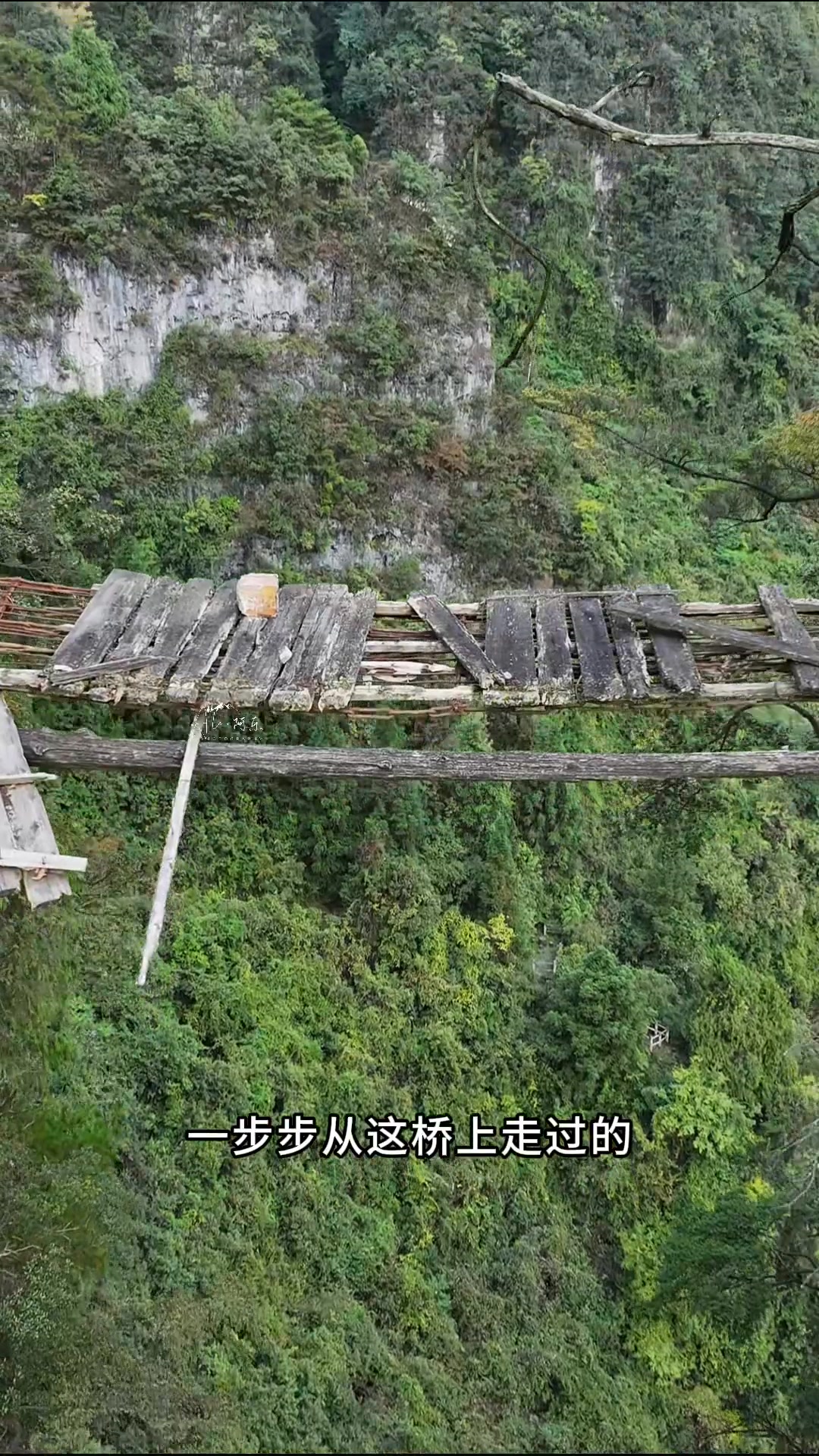 貴州深山發現一座獨木橋，至今無人敢過，光看著就讓人膽戰心驚、腿腳發軟！ | 美景旅行記 | Facebook