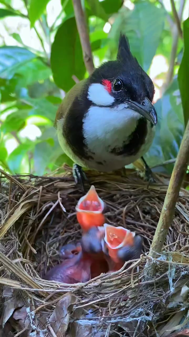 So cute wow amazing 😍🤩 | Alton dew | Facebook