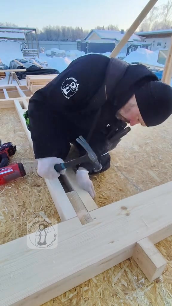 #GuestHouse40m 🇺🇸 #SuroviPlotnik | Surovi Plotnik Carpentry | Facebook
