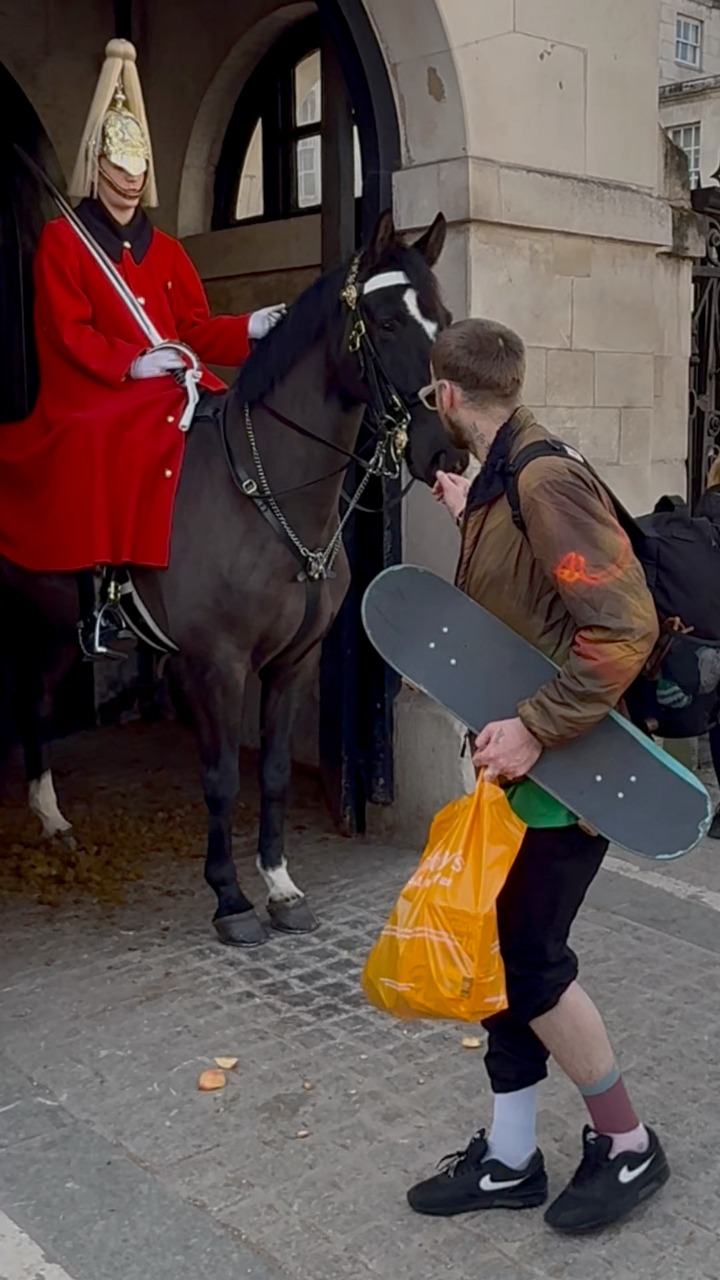 “Tourist Breaks the Rules and Touches the King’s Horse — Unbelievable ...