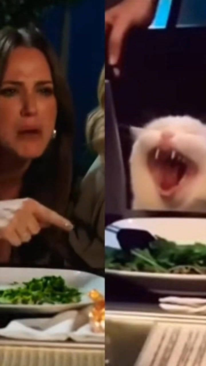 Angry yelling woman vs cat fyp funny smudge meme in video😑😾 #funnymemes ...