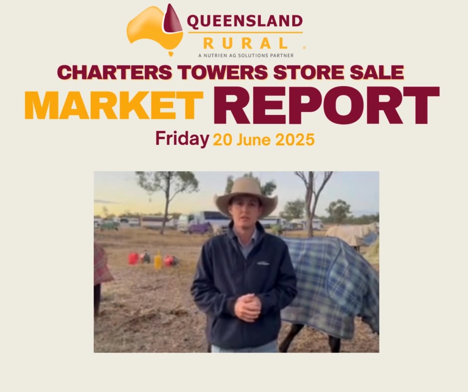 📈 20.06.25 Charters Towers Store Sale Market Report Wrap with Justin ...
