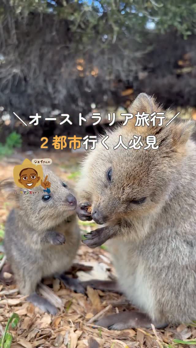 ジェイさんツアー (@Jaysantour) • Facebook