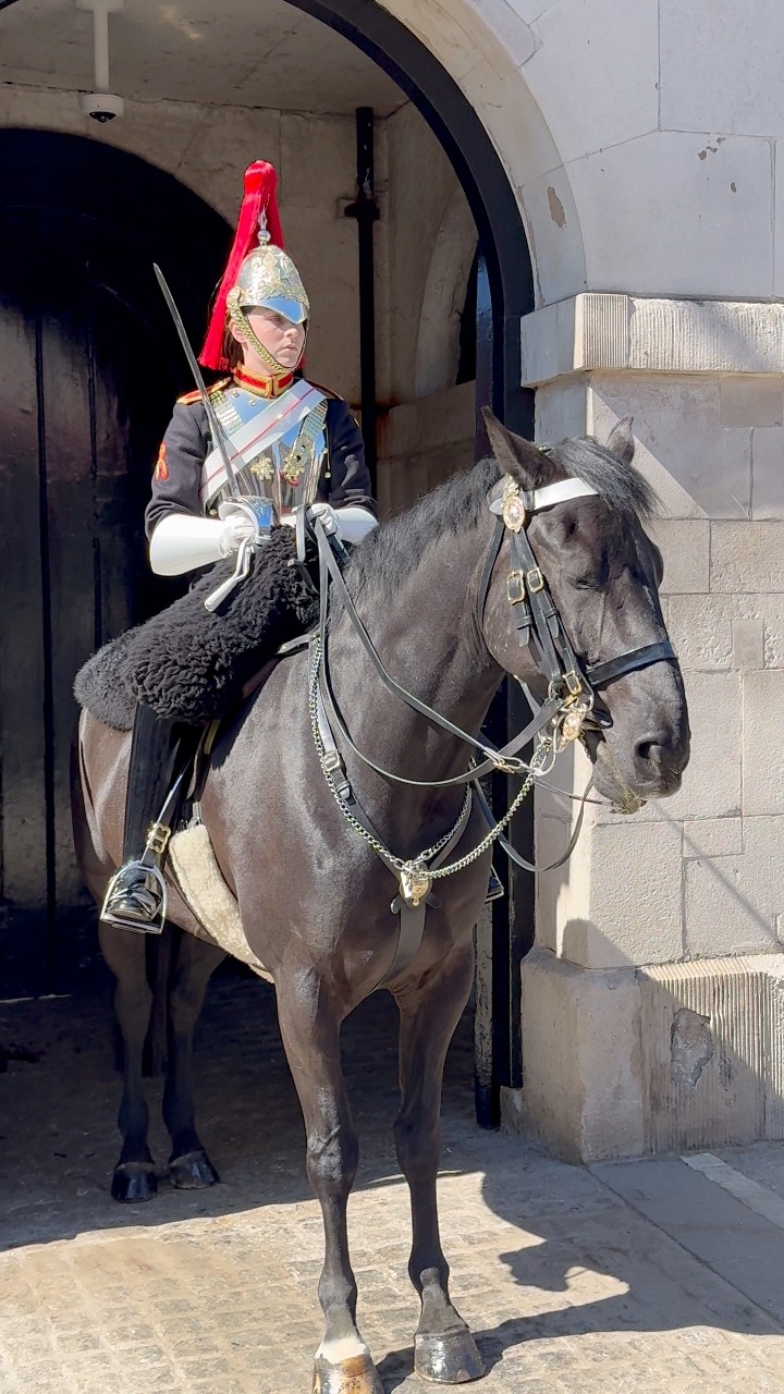 Magnificent:! #Fb #KingsHorses #RoyalGuard #London #Reels #ViralReels # ...