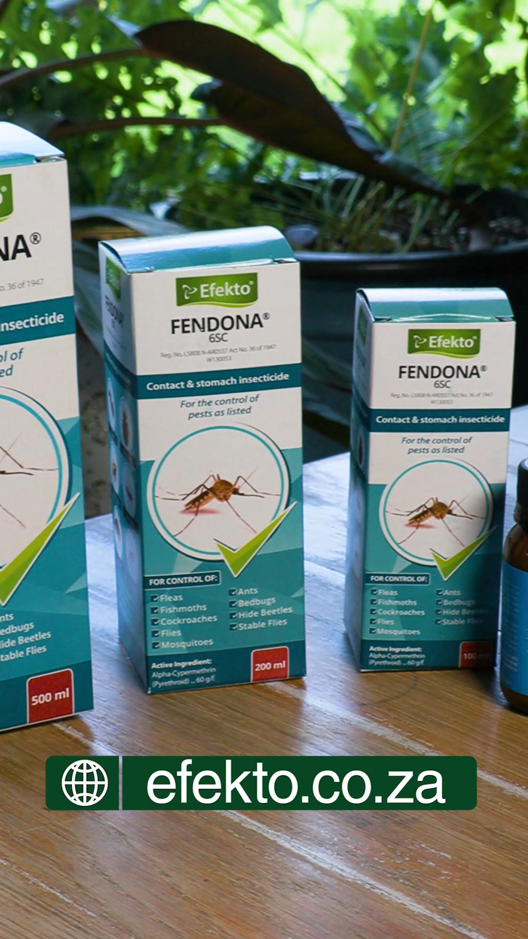 Roaches, ants, and spiders invading your kitchen or living room? 🪳 ...