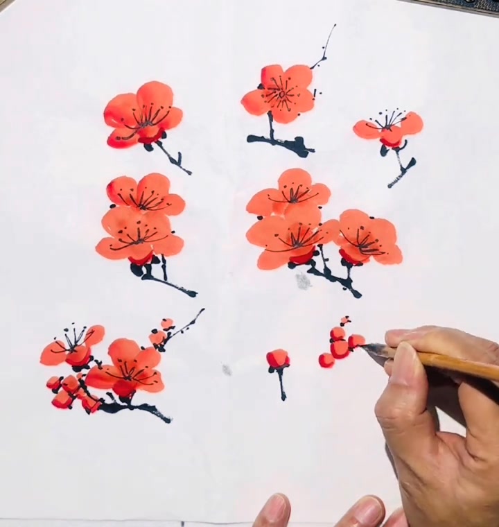 一次講盡梅花的畫法| 蓬池书画张豪水墨