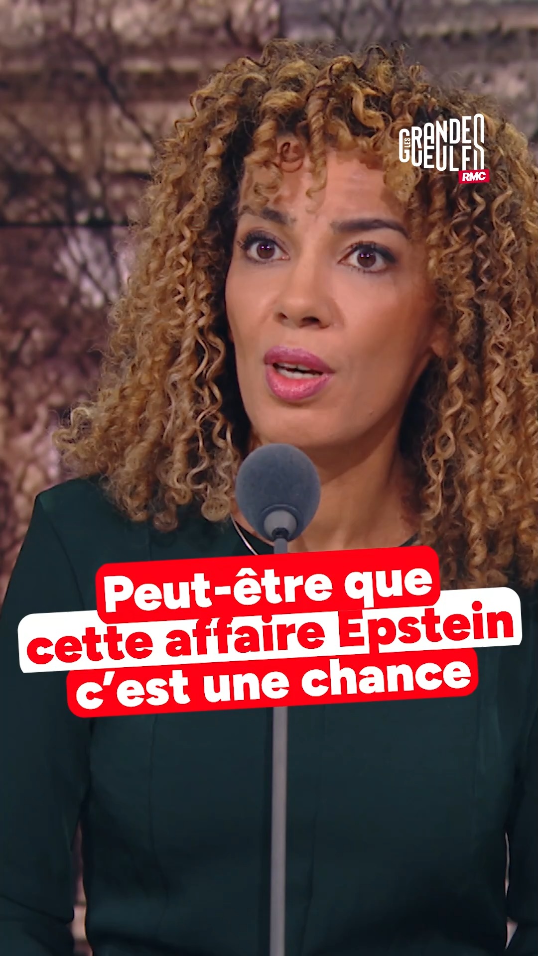 🚨 Le cri du coeur de Fatima Aït Bounoua sur l'affaire Epstein qui ...