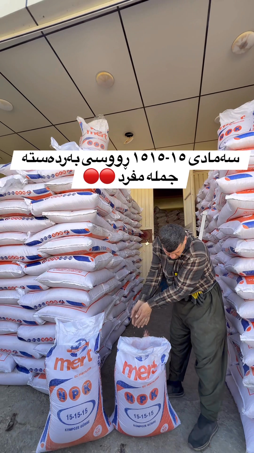 🔴🔴 سەمادی ١٥-١٥-١٥ ڕووسی. ٥٠ کگم بەردەستە 🔴🔴بۆ گەشەی هەموو دارێکی ...