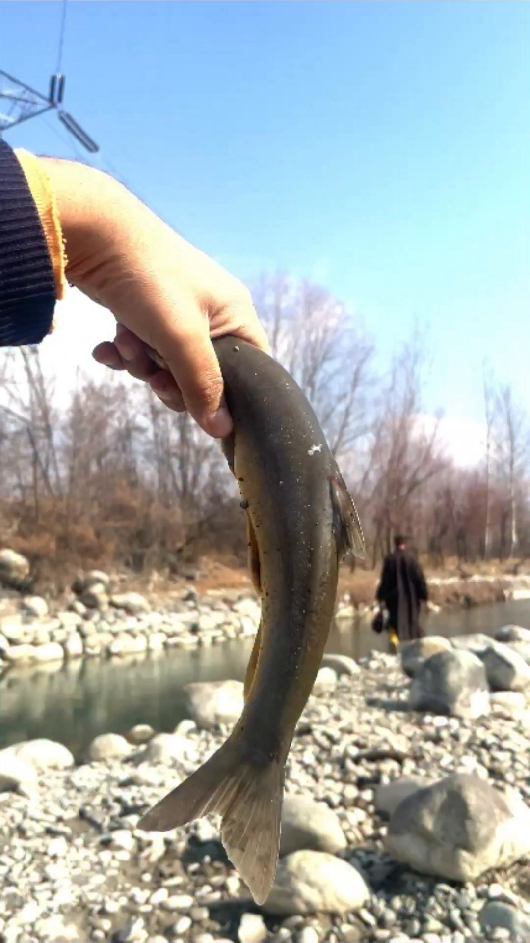 YA ALLAH PAK 🤲 ️🐟 #reelsviralシfb #freshstart #islamicpost #freshfish # ...