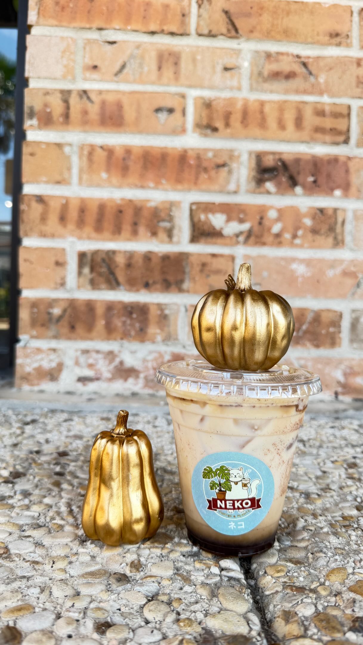 NEKO Coffee and Plants | San Antonio TX