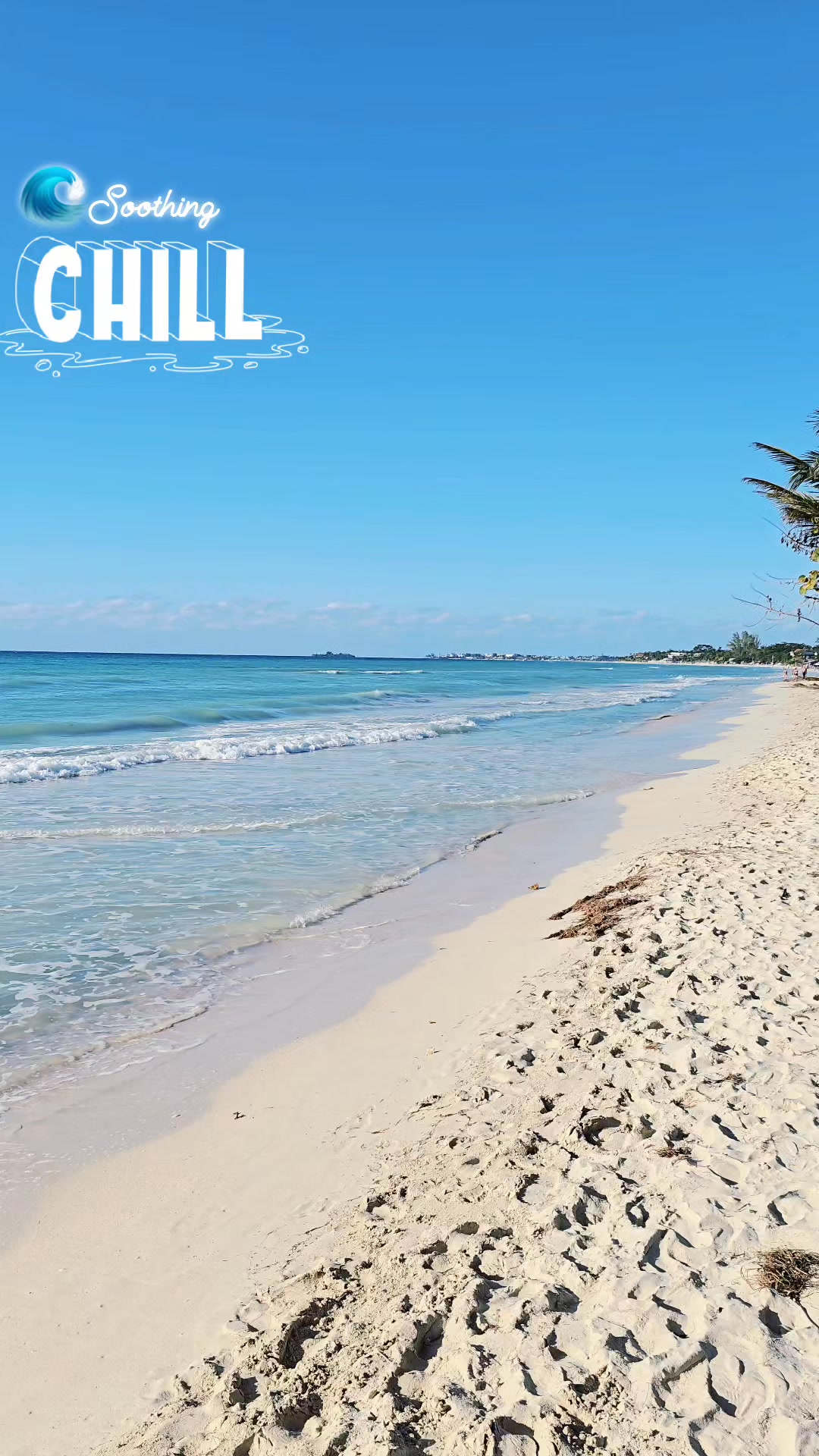 The beach scenes of Negril 🏖️🌴🌊 elevating your spirit #beautiful # ...