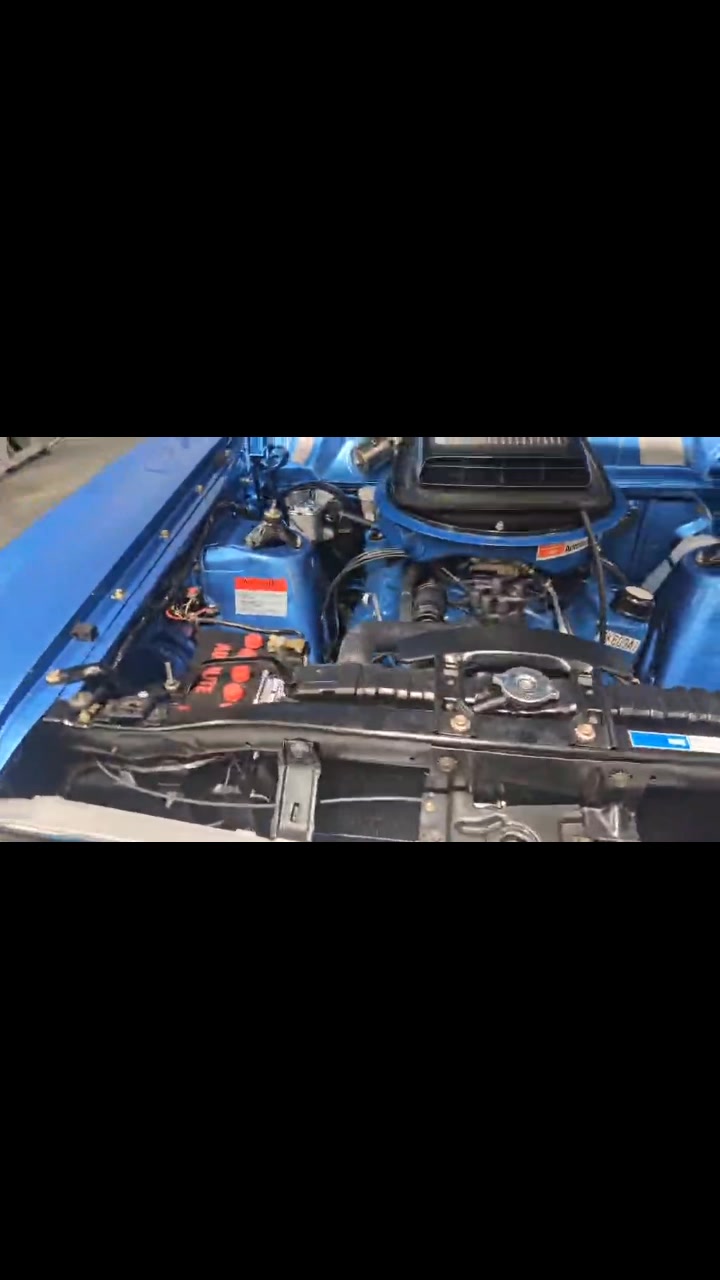 Matt France XY GT Turn Key Build | Competition Engines | Facebook