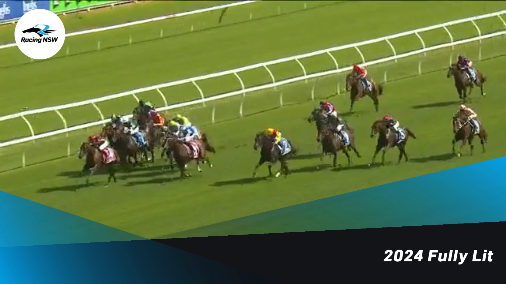 FEATURE FOCUS - Inglis Millennium: The $2 million two-year-old feature ...