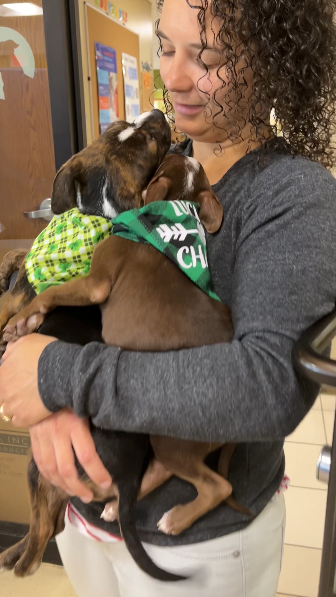 AdoptMeMKE🐾: Snickers and Twix! These sweet babies are just nine weeks ...