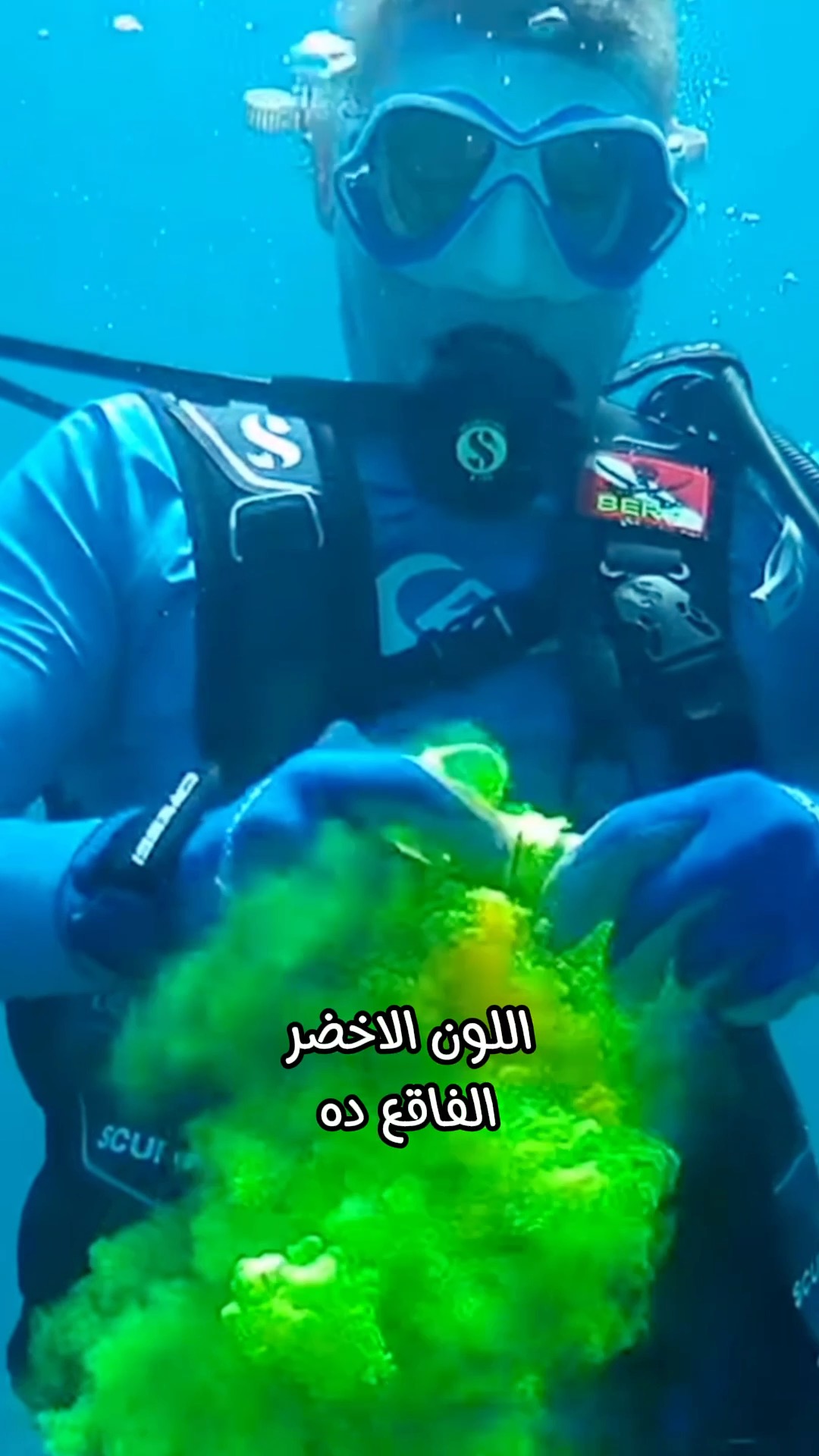 ليه البحر بقي لونه اخضر فاقع ؟ #fblifestyle #reels #معلومات #osha_salah ...