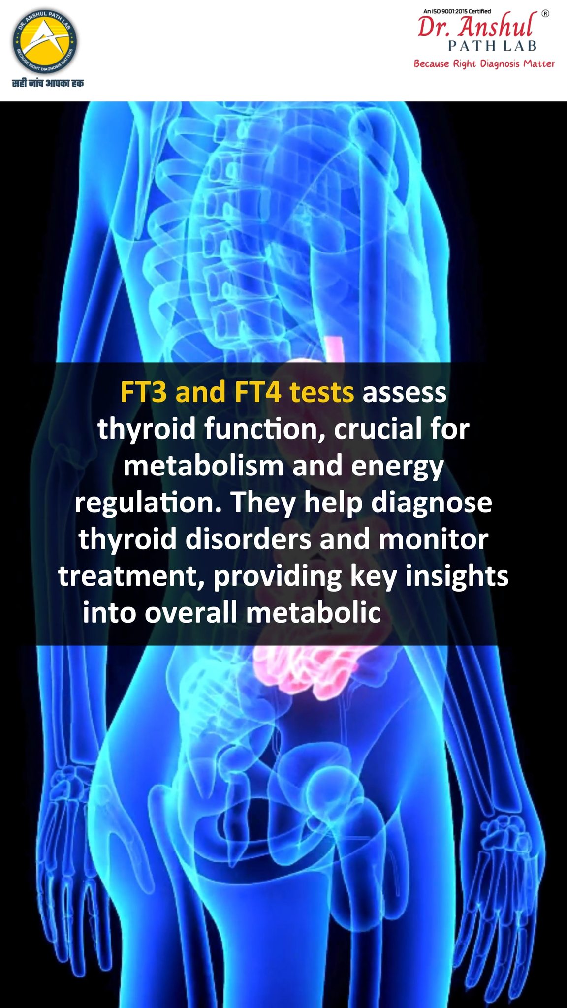 🧪 FT3 & FT4 Test – What’s Your Thyroid Telling You? Are you feeling ...