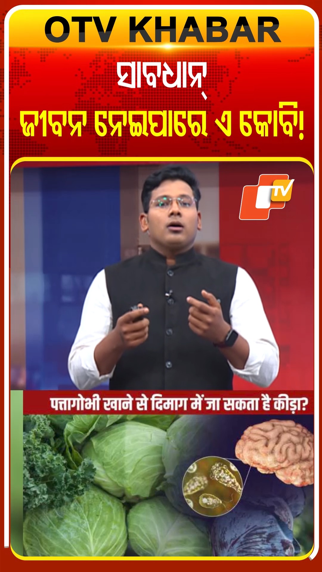 ସାବଧାନ୍‌! ଜୀବନ ନେଇପାରେ ଏ କୋବି! #OTVShorts #carbage #OdishaTV | OTV ...