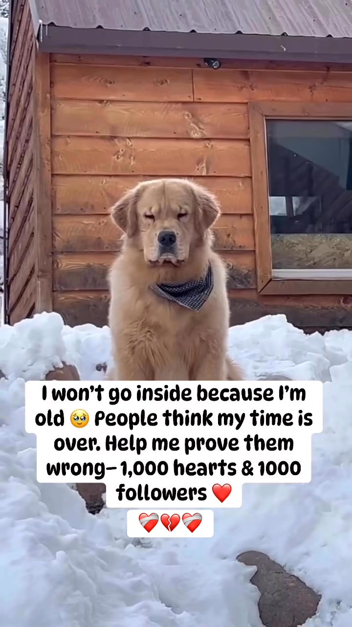 I won’t go inside because I’m old 🥹 People think my time is over. Help ...
