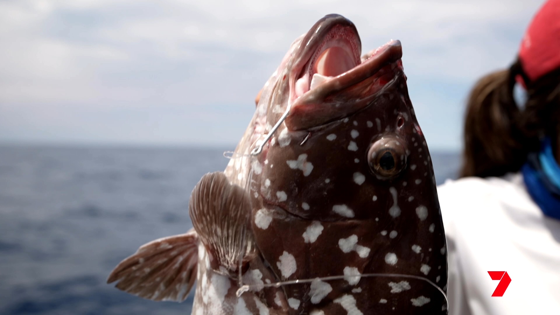 Cheeky little Rankin Cod 🎣 Tune in Saturday at 5:30pm for our BCF ...