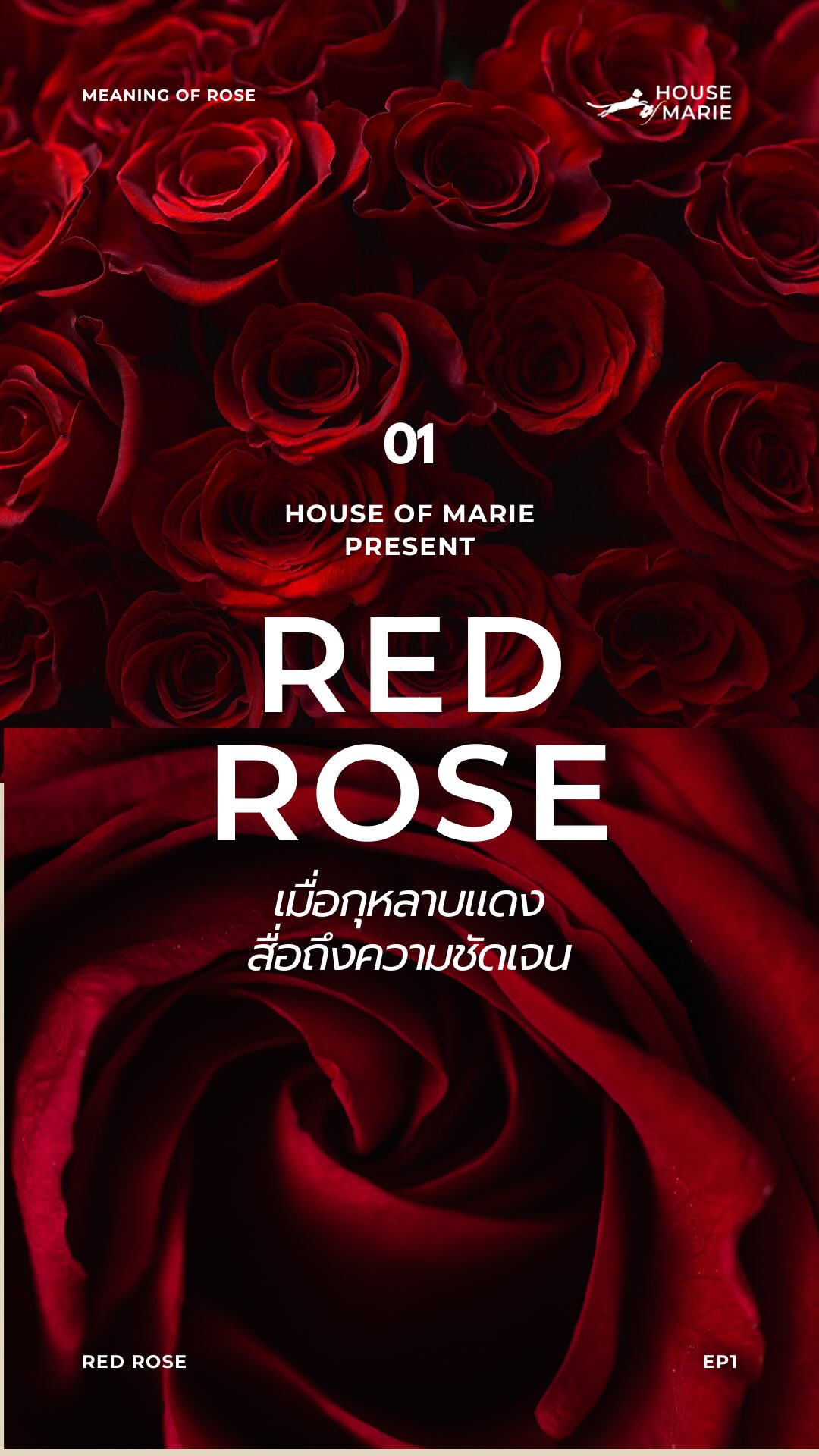 House of Marie | Bangkok