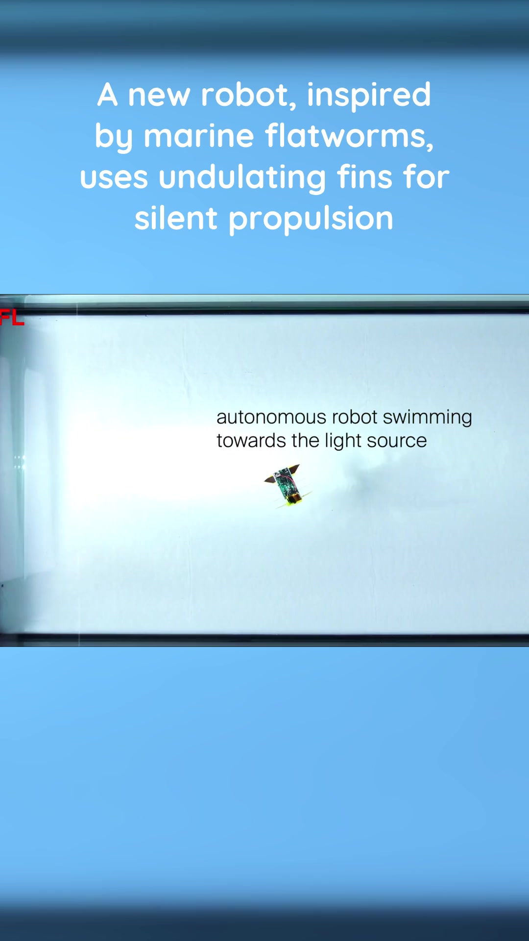 🤖Flatworm-inspired robot navigates water surfaces with precision A new ...