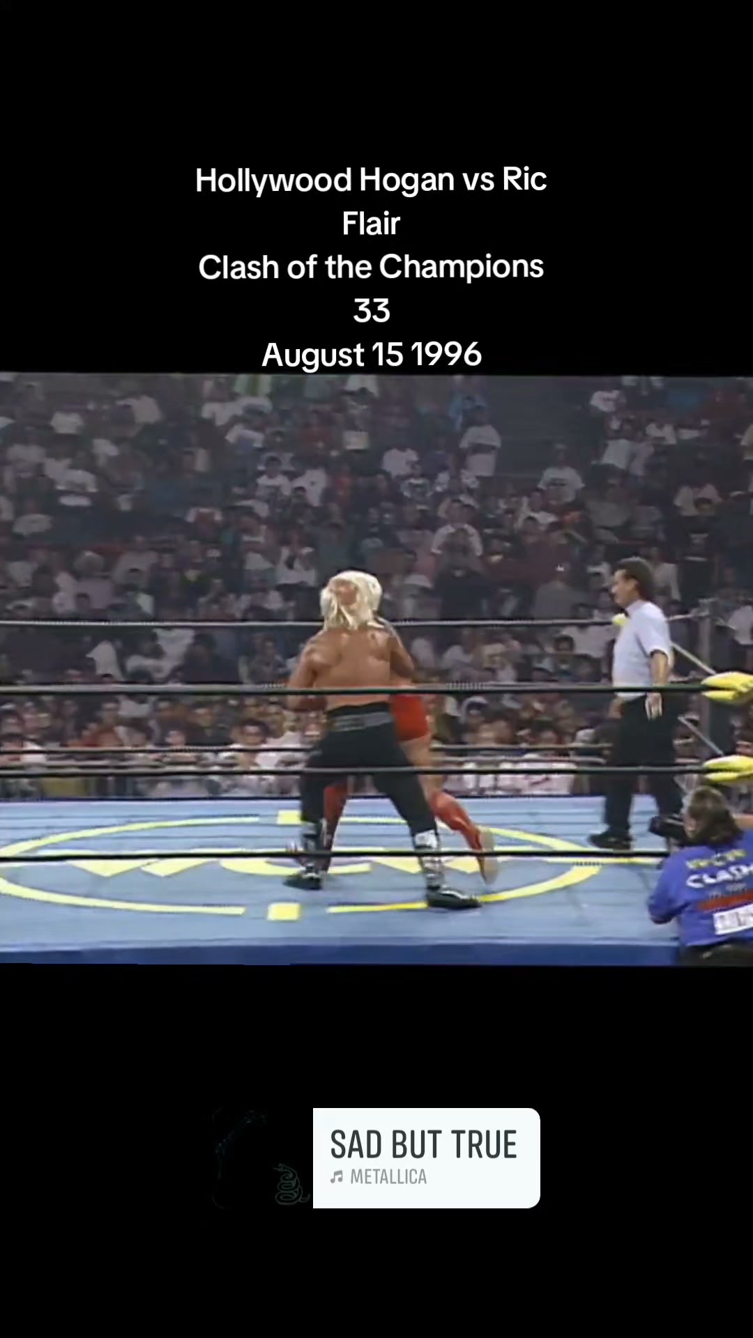 Hollywood Hogan vs Ric Flair, 30 years ago today #hulkhogan
