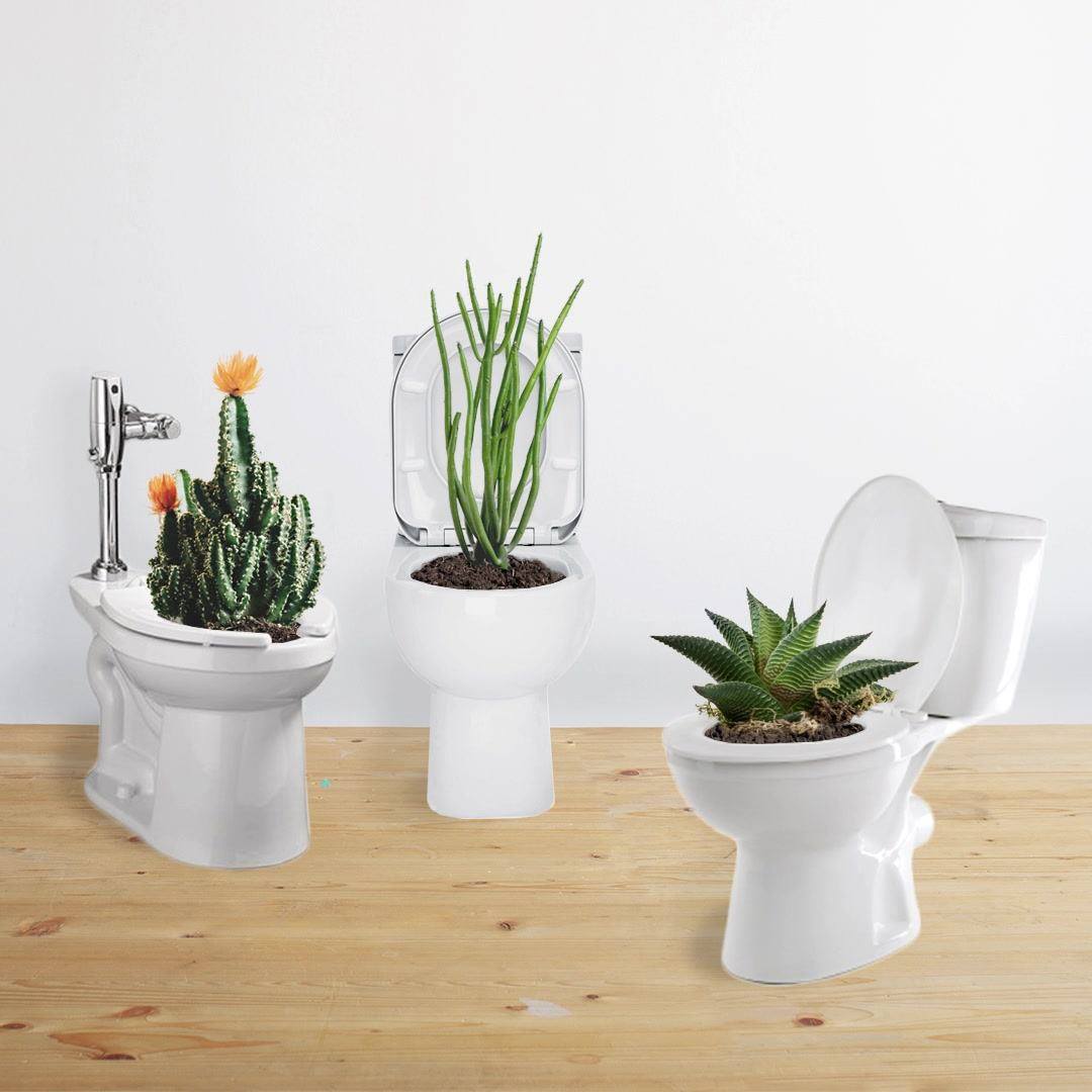 Roto-Rooter - Our ideal flower pot. | Facebook