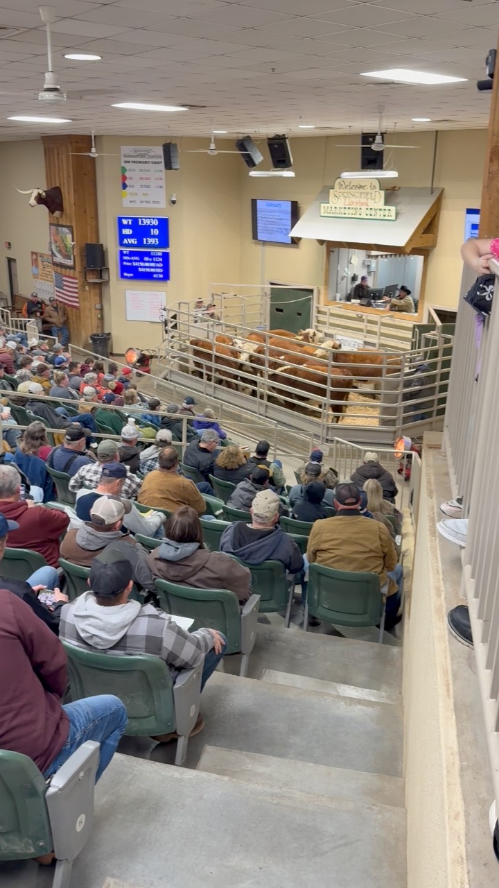 It was a full house tonight at our Special Cow and Bull sale! We ...