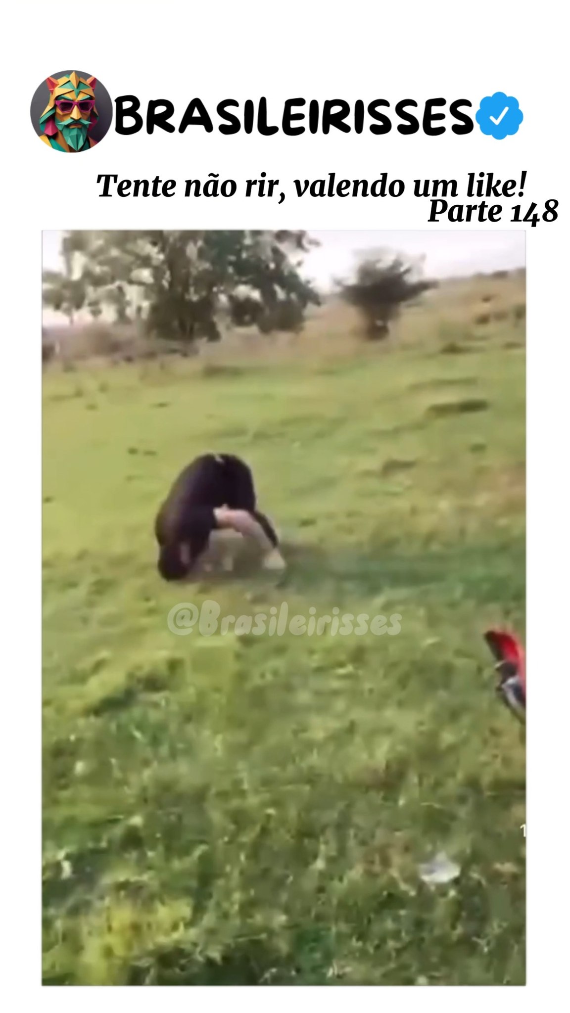 Tente não rir! Pt148 #memes #funny #comedia #engraçado #meme ...